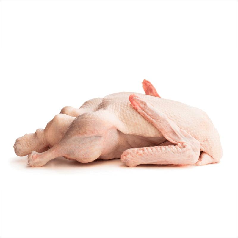 Duck Meat